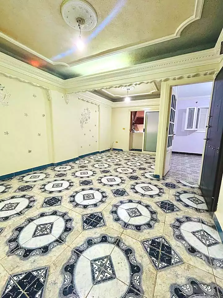 https://aqarmap.com.eg/ar/listing/7120300-for-sale-alexandria-miami