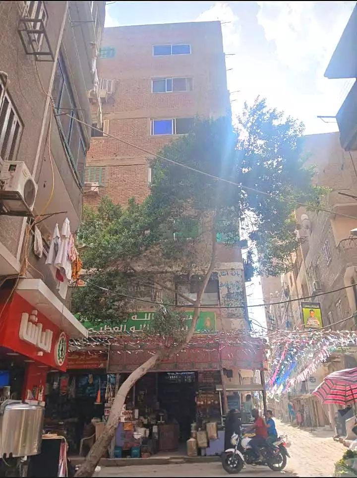 https://aqarmap.com.eg/en/listing/7120800-for-sale-cairo-faisal-el-talbeya