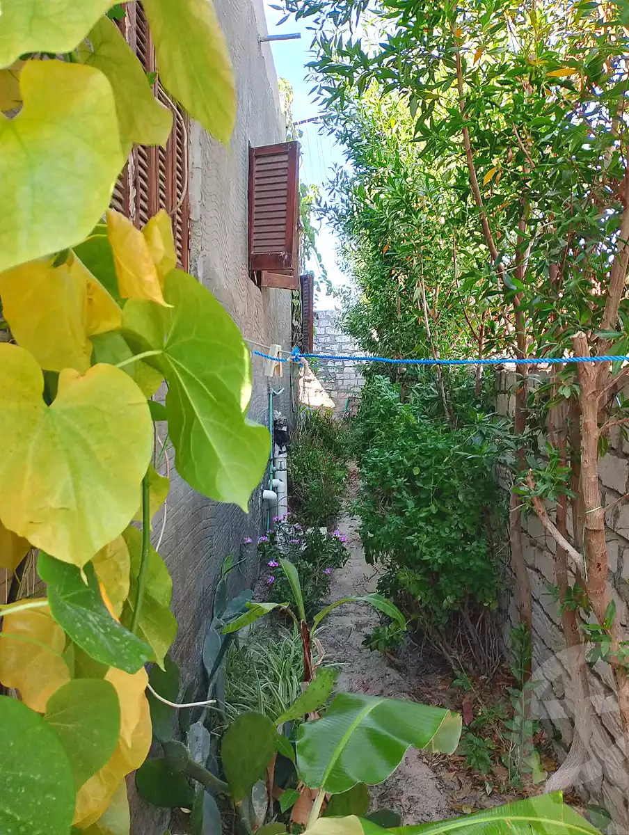 https://aqarmap.com.eg/en/listing/7120890-for-sale-alexandria-abu-talat