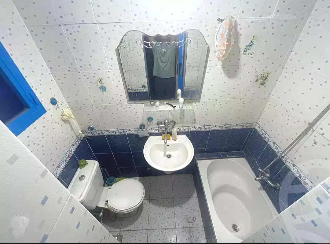 https://aqarmap.com.eg/en/listing/7125406-for-rent-alexandria-ganaklis-shr-mrtdy-bsh