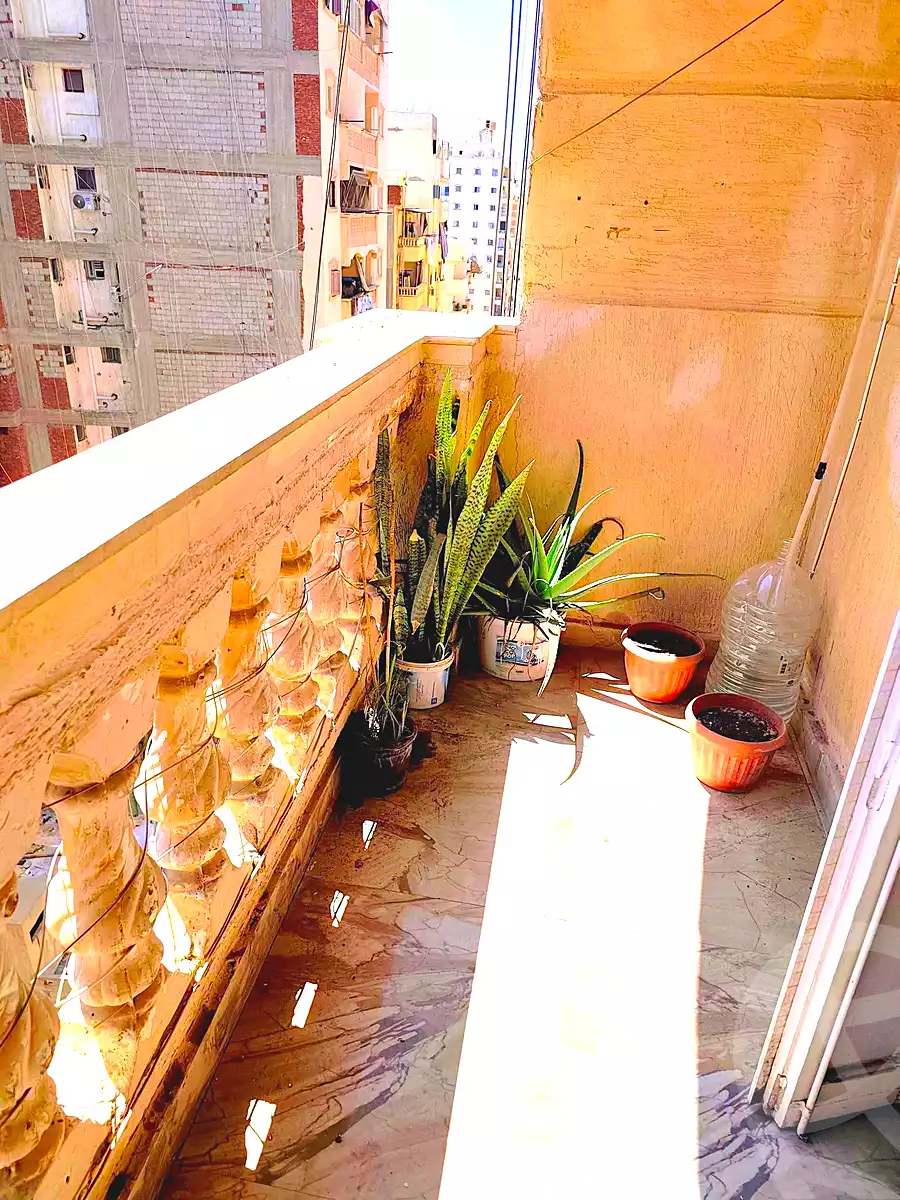 https://aqarmap.com.eg/en/listing/7126376-for-rent-alexandria-el-asafra-l-sfr-bhry