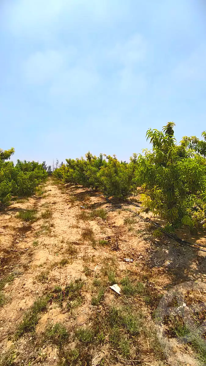 https://aqarmap.com.eg/ar/listing/7128781-for-sale-beheira-new-nubariya-el-yasha-village