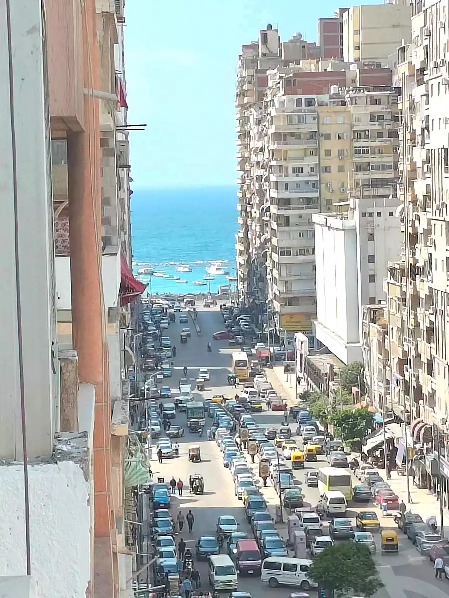 https://aqarmap.com.eg/en/listing/7130799-for-sale-alexandria-miami-iskandar-ibrahim-st