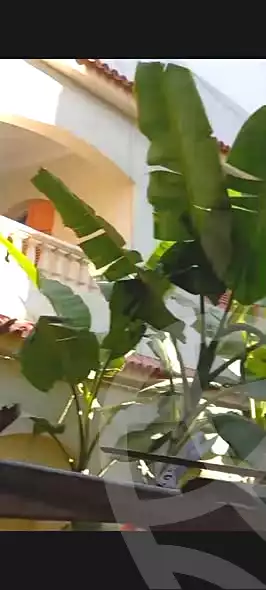 https://aqarmap.com.eg/ar/listing/7130882-for-sale-alexandria-al-agamy-el-hanouvel-emtedad-fatma-al-zahraa-st