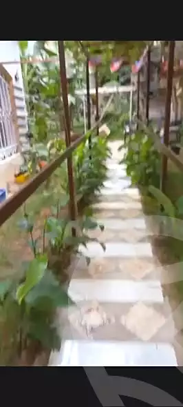 https://aqarmap.com.eg/ar/listing/7130882-for-sale-alexandria-al-agamy-el-hanouvel-emtedad-fatma-al-zahraa-st