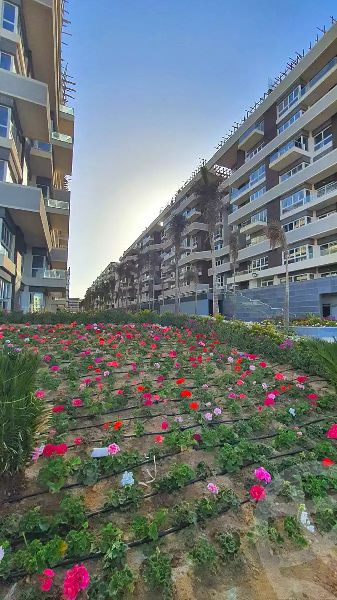 https://aqarmap.com.eg/ar/listing/7131815-for-sale-cairo-new-administrative-capital-r7-scenario