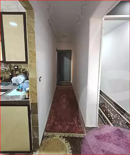 https://aqarmap.com.eg/en/listing/7134103-for-sale-alexandria-lsywf-el-falki