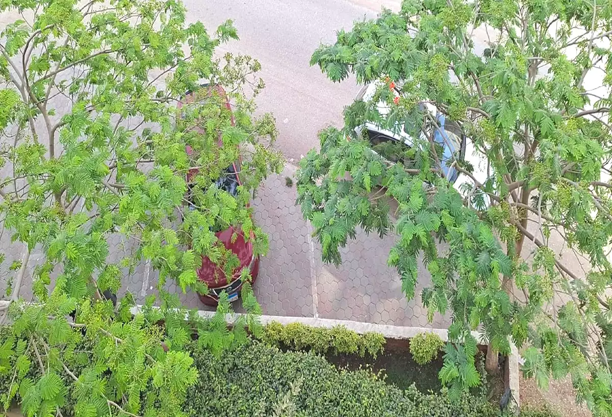 https://aqarmap.com.eg/en/listing/7134216-for-sale-cairo-new-cairo-compounds-galleria-moon-valley-compound-arabia