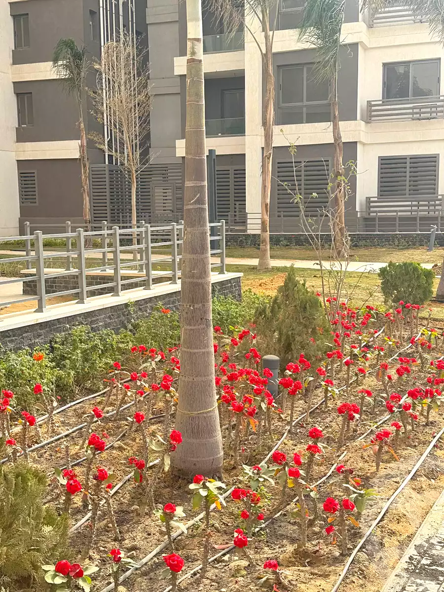 https://aqarmap.com.eg/ar/listing/7134603-for-sale-cairo-new-administrative-capital-hdyq-l-sm-mdyn-nwr-mjmw-tl-t-mstfy