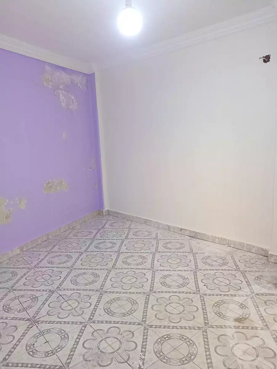 https://aqarmap.com.eg/ar/listing/7137967-for-sale-cairo-ain-shams-jsr-lswys-kamal-hegab-st