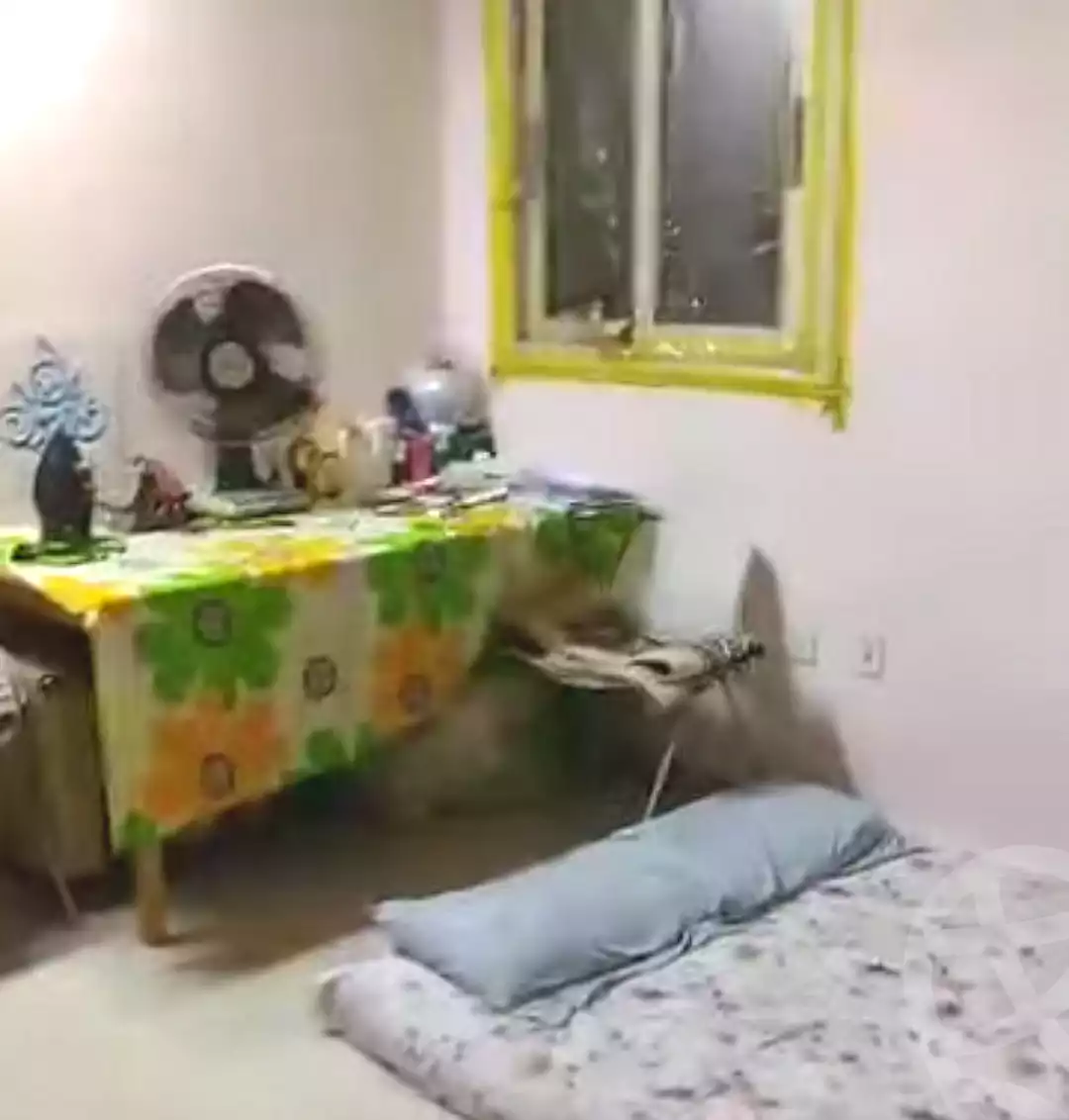https://aqarmap.com.eg/ar/listing/7138769-for-sale-cairo-ain-shams-alf-maskn
