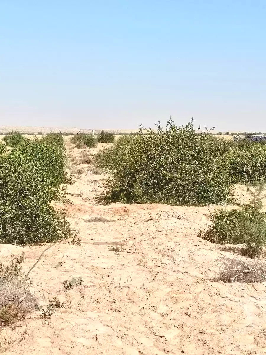 https://aqarmap.com.eg/ar/listing/7139214-for-sale-ismailia-ismailia-city-kanat-al-sweis-st