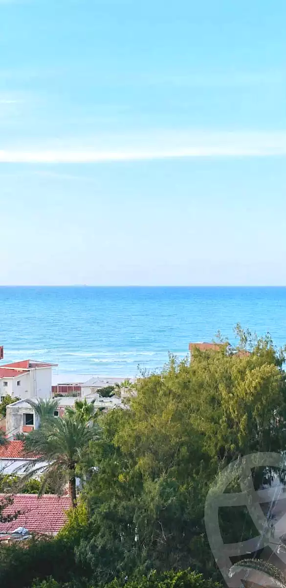 https://aqarmap.com.eg/en/listing/7139886-for-sale-alexandria-al-agamy-lbytsh-bianchiii