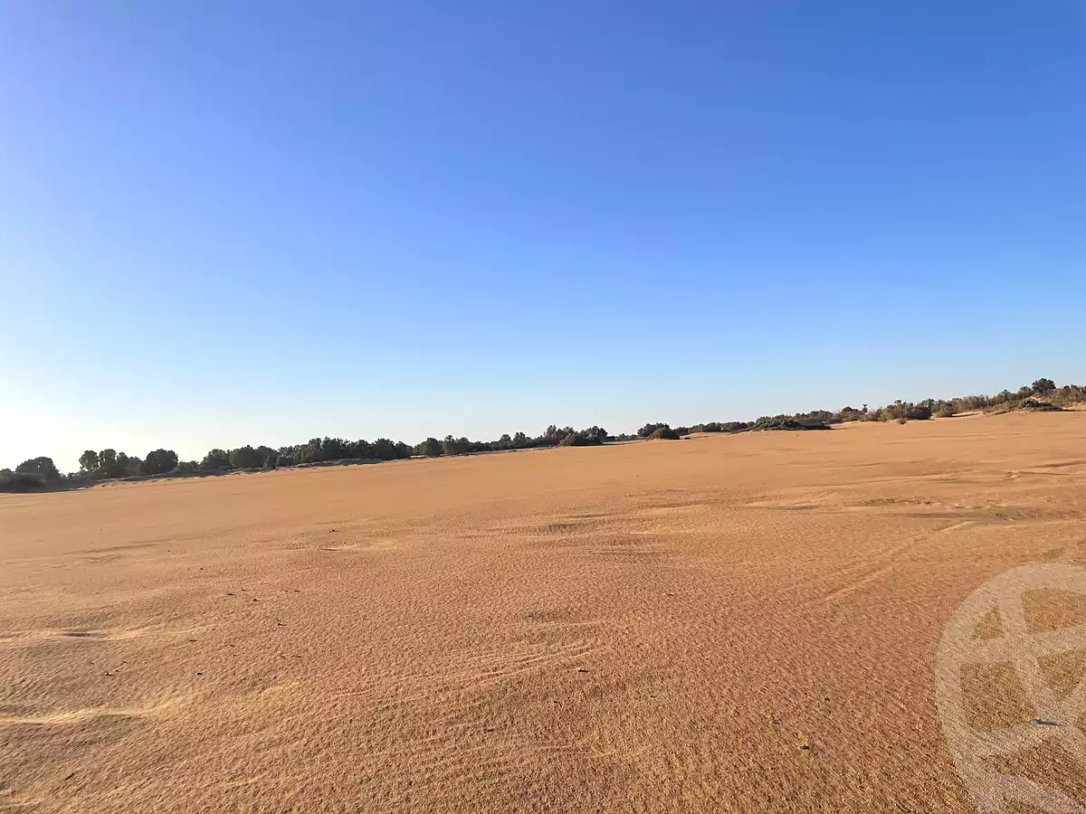 https://aqarmap.com.eg/ar/listing/7140204-for-sale-new-valley-kharga-oasis-markz-baris