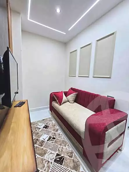 https://aqarmap.com.eg/en/listing/7142511-for-rent-cairo-heliopolis