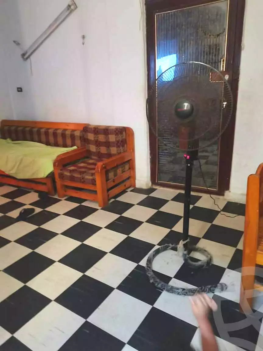 https://aqarmap.com.eg/ar/listing/7142641-for-sale-alexandria-al-agamy-lbytsh-shahr-al-assal-st