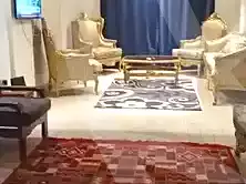 https://aqarmap.com.eg/ar/listing/7145985-for-sale-cairo-manial