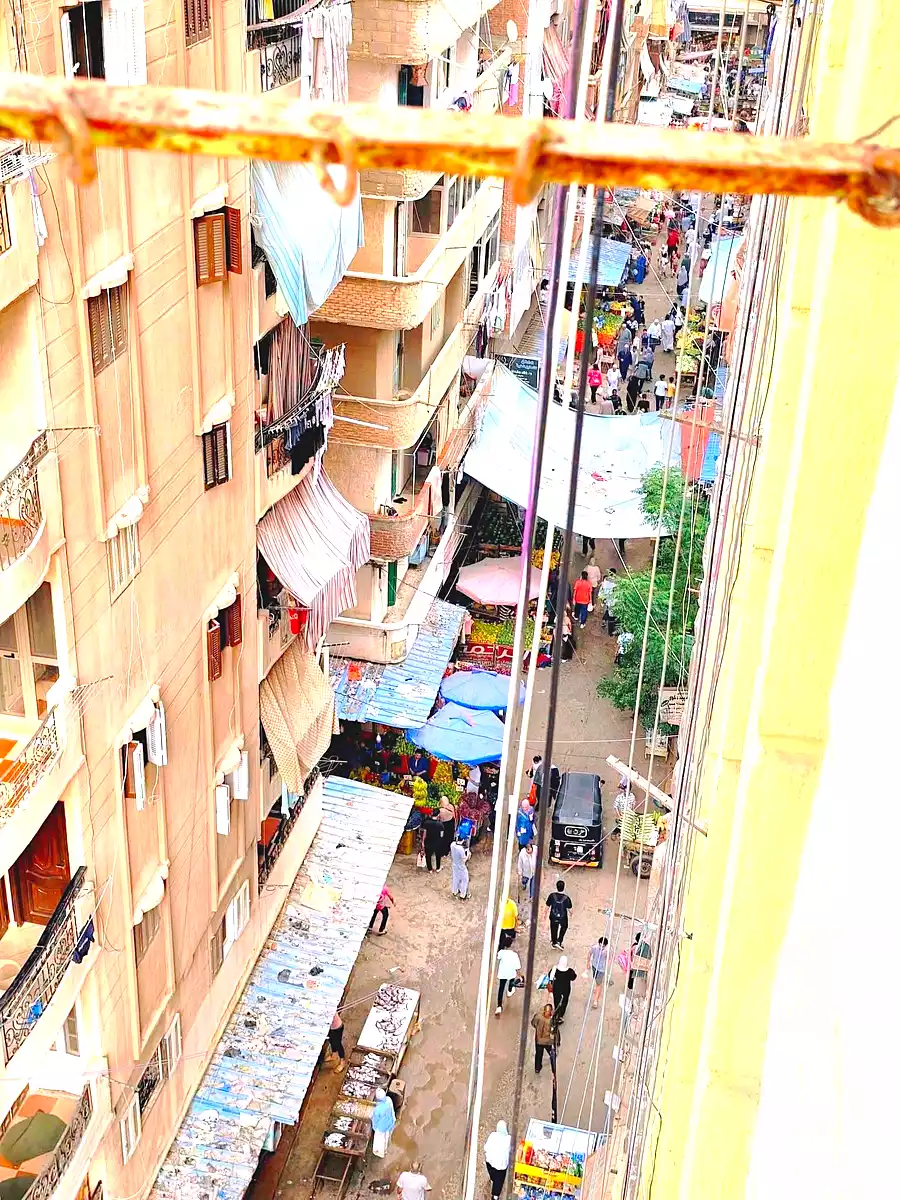https://aqarmap.com.eg/en/listing/7146702-for-sale-alexandria-el-asafra-l-sfr-qbly
