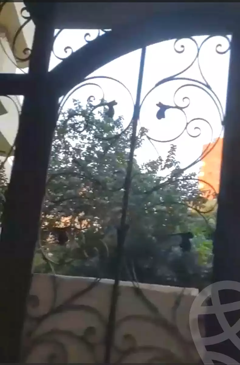 https://aqarmap.com.eg/ar/listing/7147258-for-sale-cairo-faisal-kafr-tohormos-mohammed-hasan-st