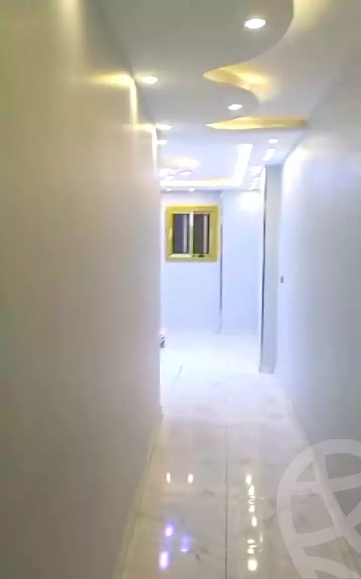 https://aqarmap.com.eg/en/listing/7149923-for-rent-cairo-faisal-el-matbeaa-amr-ibn-al-aas-st