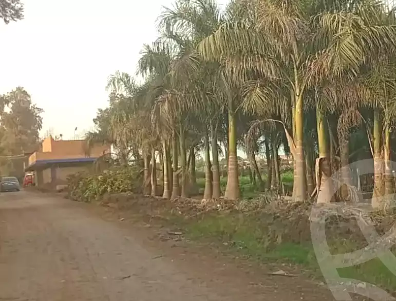 https://aqarmap.com.eg/en/listing/7158996-for-sale-monufia-ashmoun