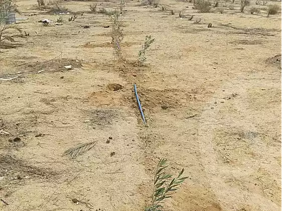 https://aqarmap.com.eg/ar/listing/7159484-for-sale-ismailia-kassassin