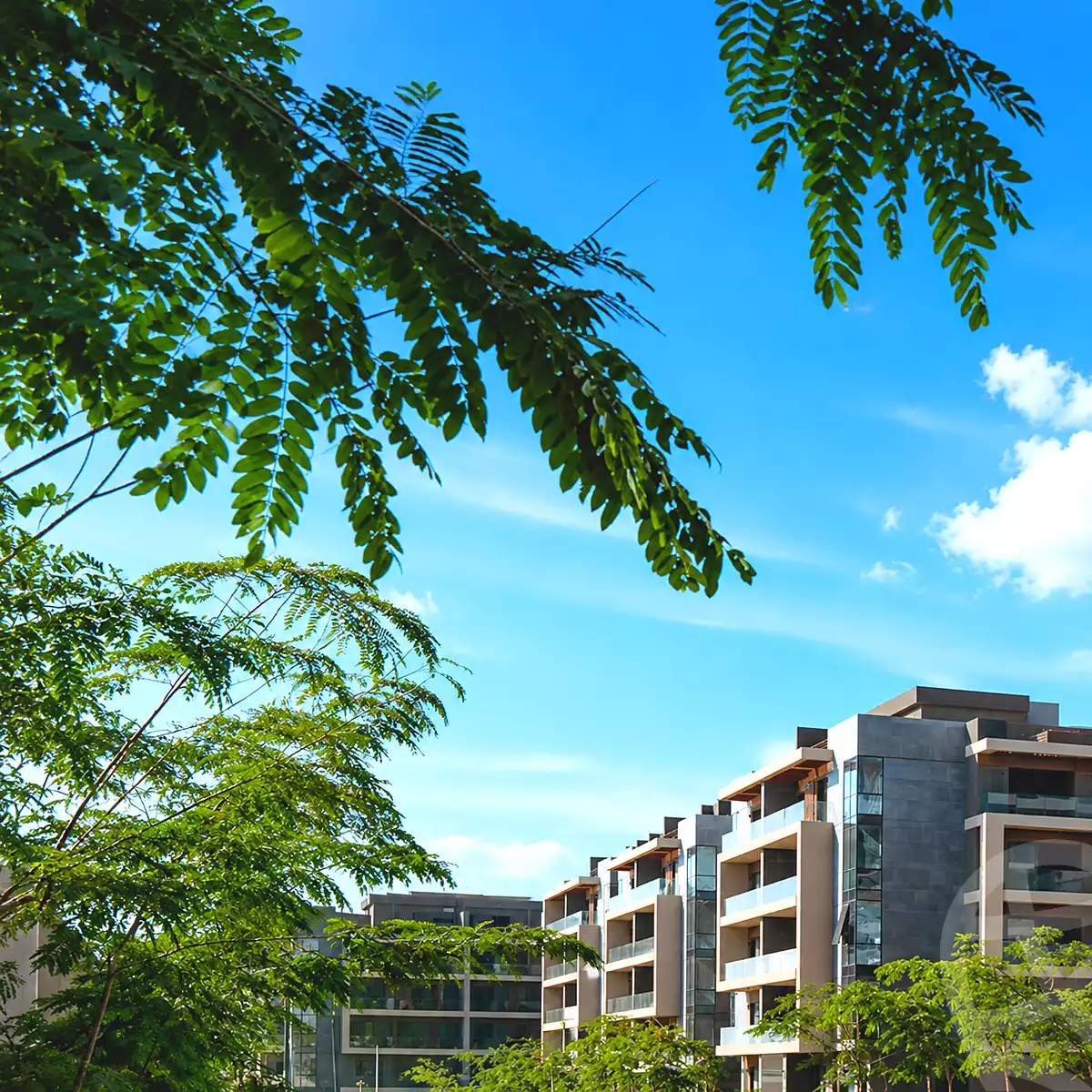 https://aqarmap.com.eg/en/listing/7163278-for-sale-cairo-new-cairo-compounds-el-patio-oro