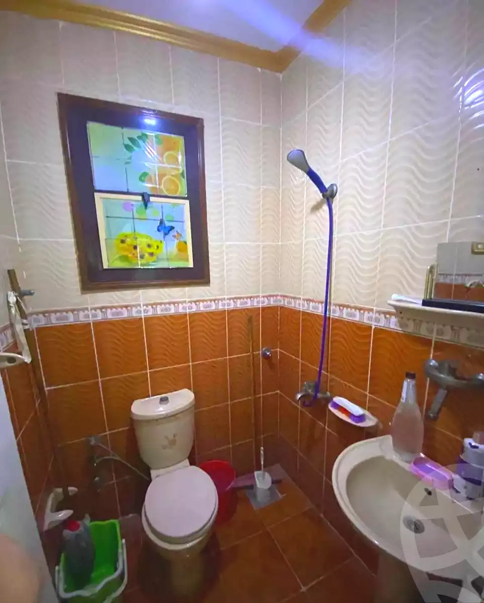 https://aqarmap.com.eg/en/listing/7164796-for-sale-alexandria-lsywf-el-falki