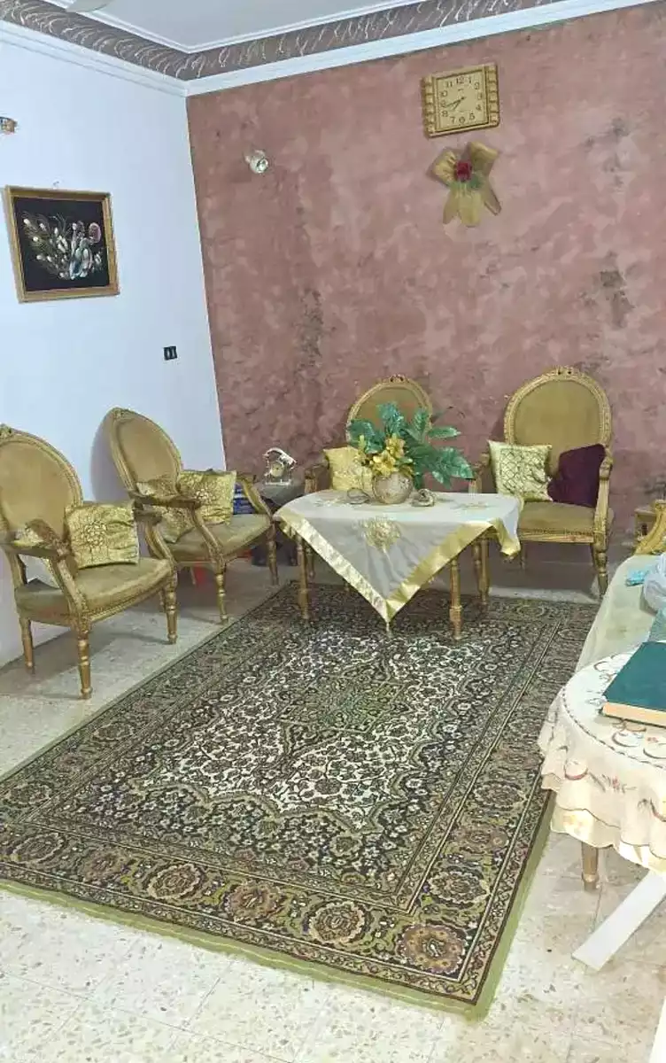 https://aqarmap.com.eg/ar/listing/7165193-for-sale-cairo-faisal-el-talbeya