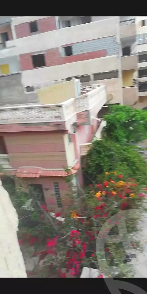 https://aqarmap.com.eg/ar/listing/7167146-for-sale-alexandria-al-agamy-lbytsh-shahr-al-assal-st