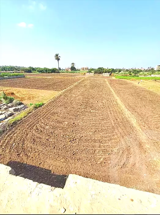 https://aqarmap.com.eg/ar/listing/7123031-for-sale-qalyubia-tokh-barshom-el-soghra