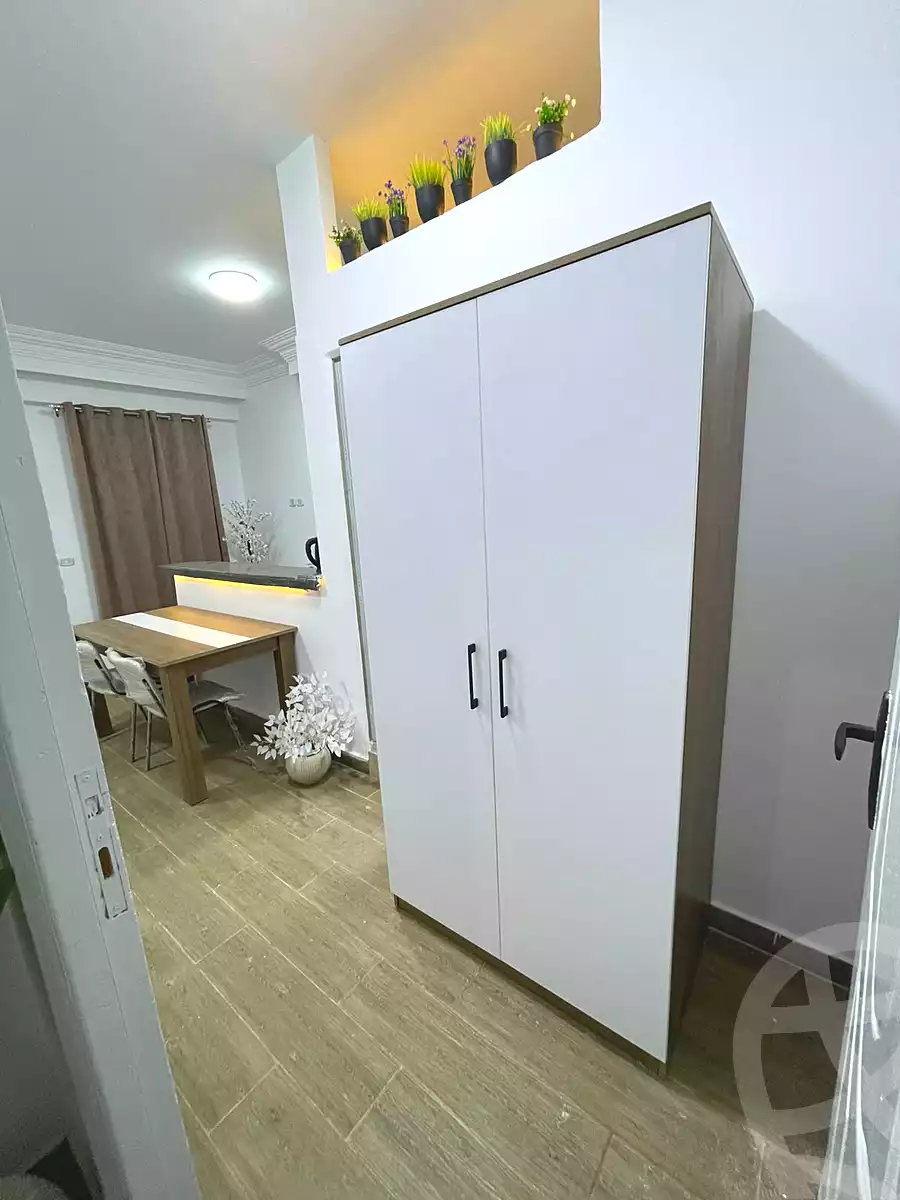 https://aqarmap.com.eg/en/listing/7167568-for-rent-cairo-new-cairo-ganob-el-akadamiya-south-academy-g-sedki-suliman-st