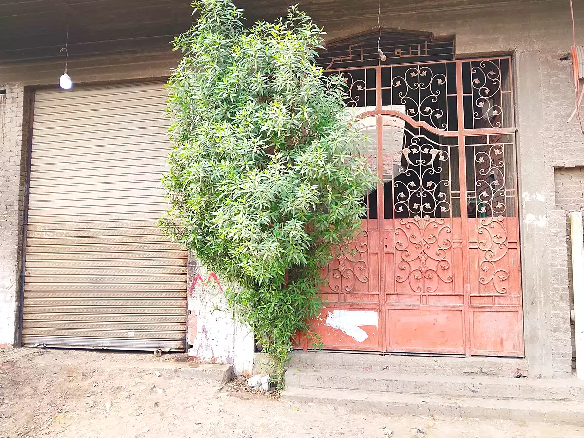 https://aqarmap.com.eg/ar/listing/7171969-for-sale-cairo-ljyz-el-moneeb