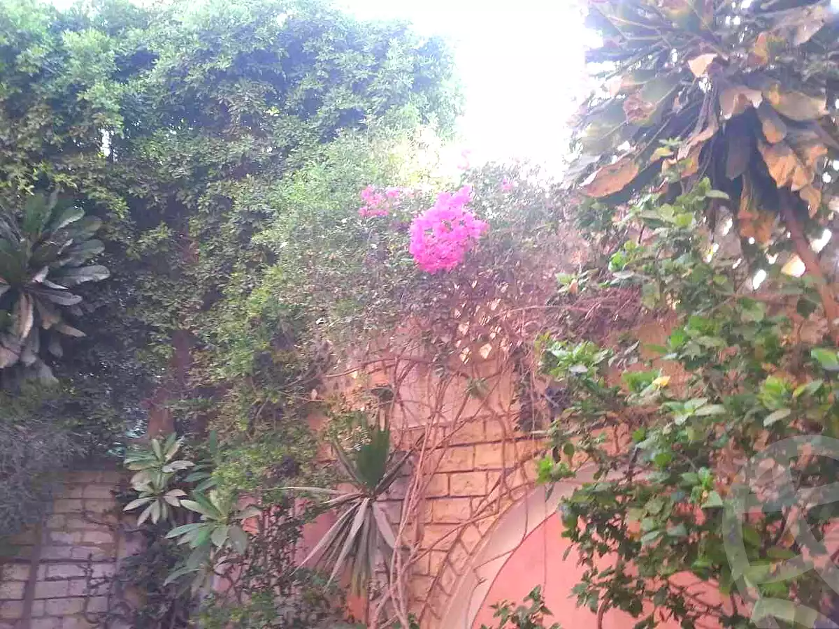https://aqarmap.com.eg/ar/listing/7173084-for-sale-alexandria-al-agamy-lbytsh-el-hanafeya-st
