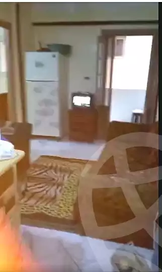 https://aqarmap.com.eg/en/listing/7173116-for-rent-alexandria-al-agamy