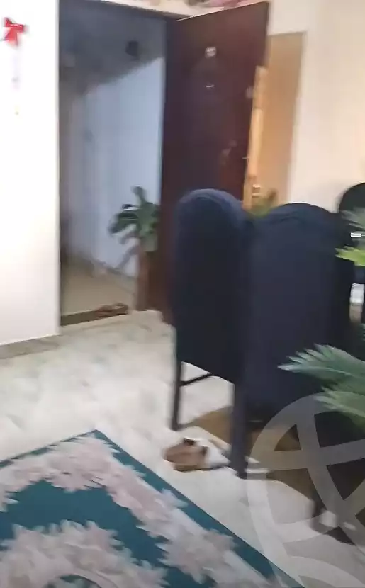 https://aqarmap.com.eg/en/listing/7173115-for-sale-cairo-el-zaytun-lzytwn-lshrqy-toman-bai-st