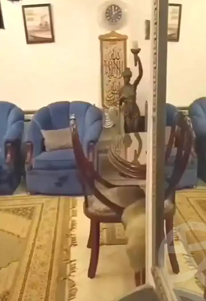 https://aqarmap.com.eg/ar/listing/7175659-for-sale-alexandria-al-agamy-lbytsh-ain-shams-st