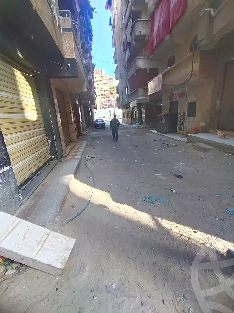 https://aqarmap.com.eg/en/listing/7176179-for-sale-alexandria-al-agamy-el-kilo-21-el-khalig-st