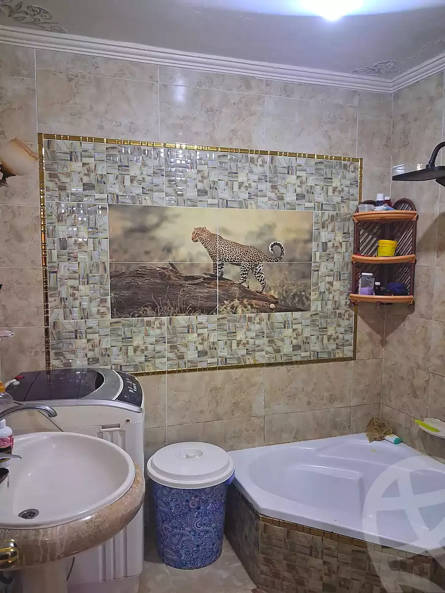 https://aqarmap.com.eg/ar/listing/7176730-for-rent-alexandria-al-agamy-bw-ywsf