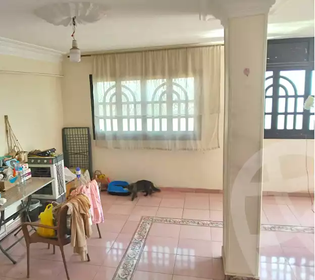 https://aqarmap.com.eg/en/listing/7178949-for-rent-cairo-nasr-city