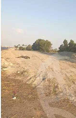 https://aqarmap.com.eg/en/listing/7178978-for-sale-alexandria-cairo-alexandria-desert-road