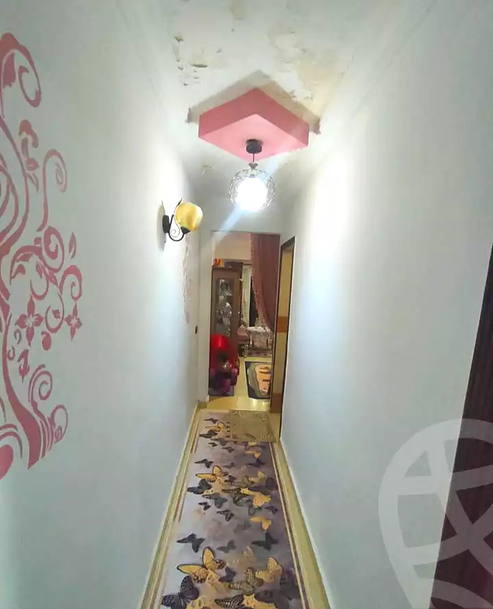 https://aqarmap.com.eg/ar/listing/7180026-for-sale-alexandria-lsywf-el-falki-street-16-el-eslah