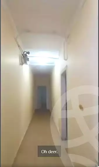 https://aqarmap.com.eg/en/listing/7181161-for-rent-cairo-nozha-2-Street-15