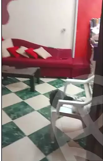 https://aqarmap.com.eg/en/listing/7184566-for-rent-cairo-faisal-shareaa-el-thalatheny