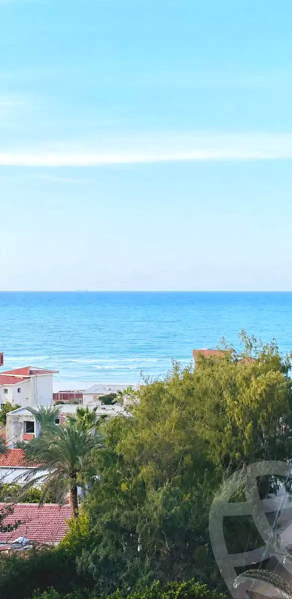 https://aqarmap.com.eg/en/listing/7188776-for-sale-alexandria-al-agamy-lbytsh-bianchiii