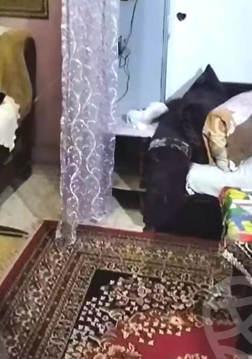 https://aqarmap.com.eg/ar/listing/7190207-for-sale-cairo-el-haram-el-talbya-eid-ibrahim-soliman-st