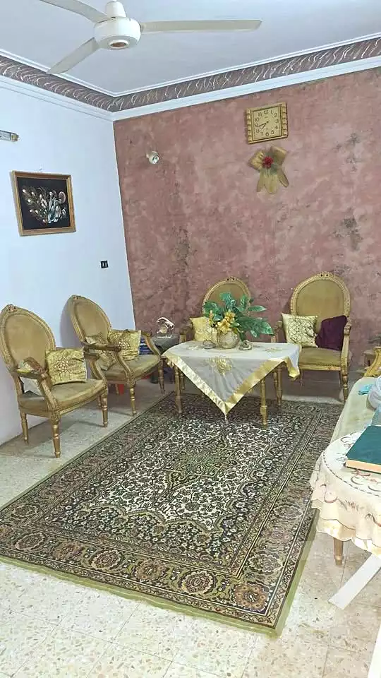 https://aqarmap.com.eg/ar/listing/7190445-for-sale-cairo-faisal-el-talbeya