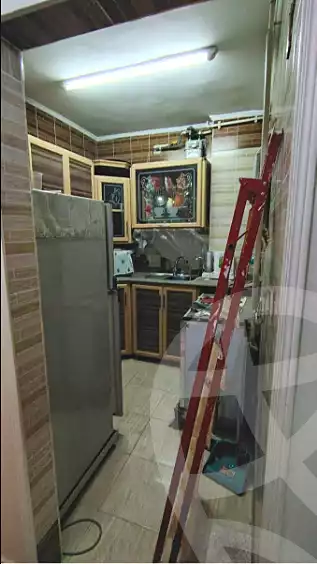https://aqarmap.com.eg/ar/listing/7202115-for-sale-cairo-ain-shams-ahmed-esmat-st