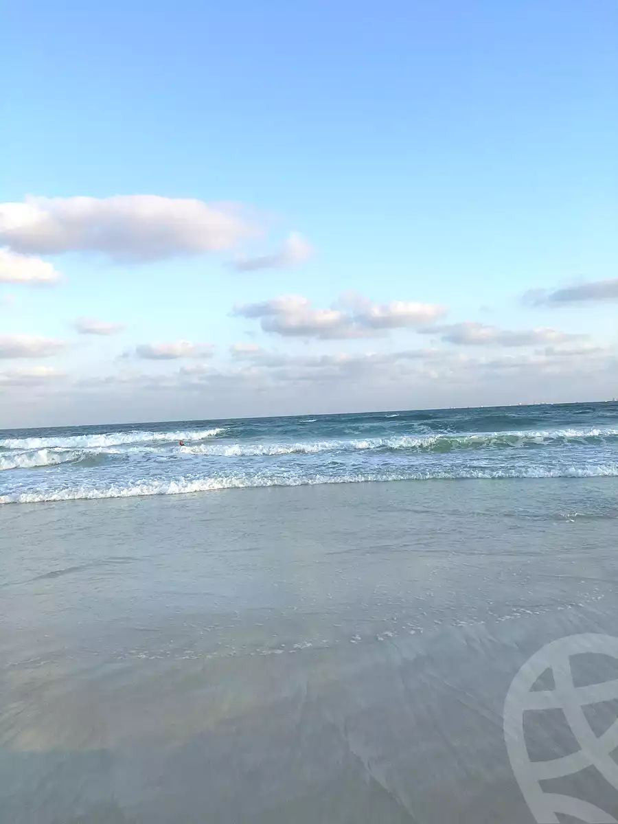 https://aqarmap.com.eg/en/listing/7203857-for-sale-alexandria-al-agamy-lbytsh-street-8