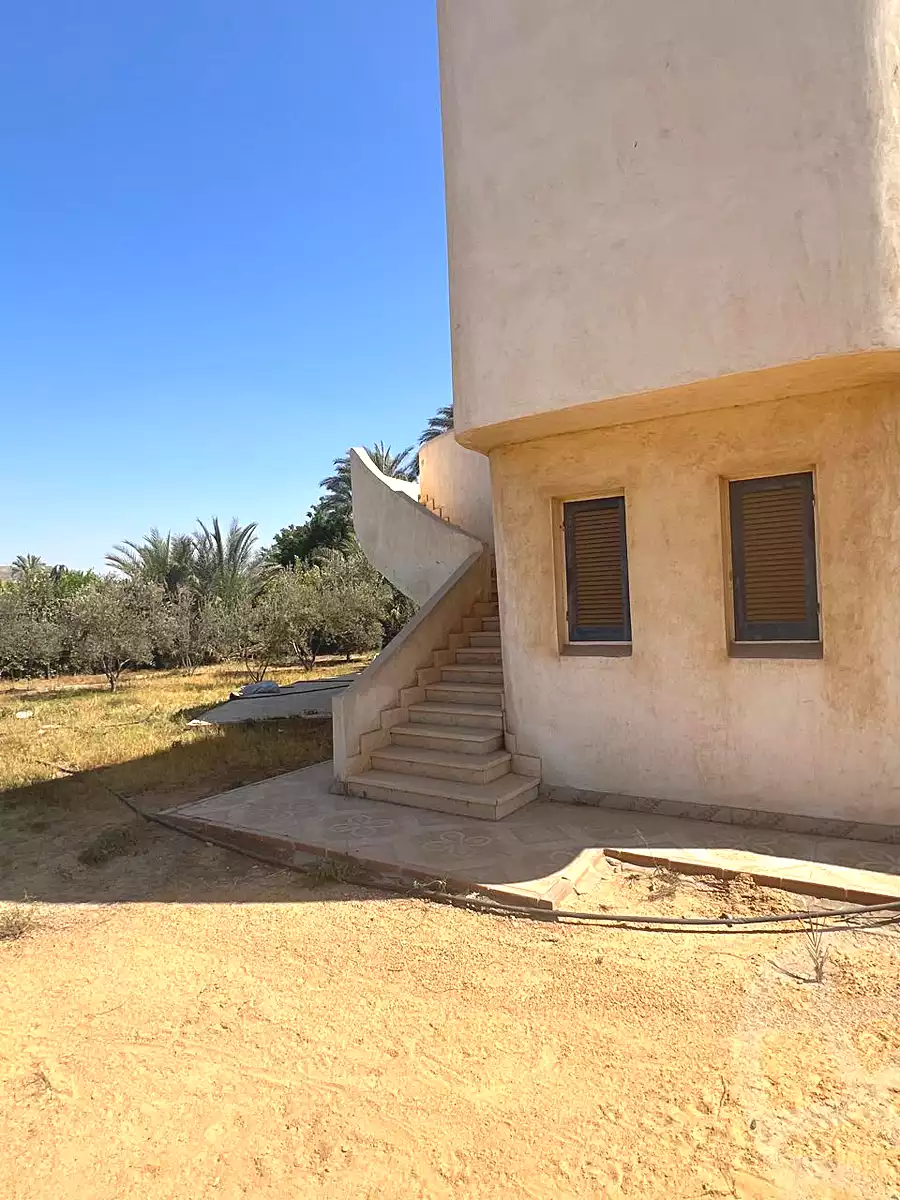 3 BR Villa in Sandorini, photo 6 of 20